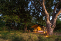 JOHN'S CAMP