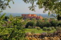 DOMAINE LA COLLINE DES OLIVIERS