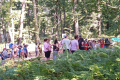 WOOD PARC
