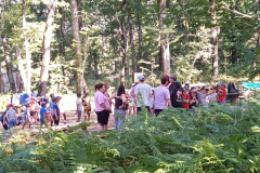 WOOD PARC