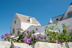 MASSERIA SERRALTA B&B