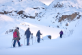 ARCTIC EXCURSIONS