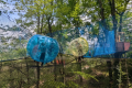 LA FORÊT DES CHAMPOS