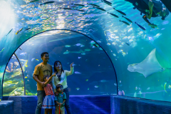 ANGKOR WILDLIFE AQUARIUM