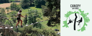 CANOPY EN FORET
