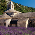 塞南克圣母院（abbey of Notre-Dame de Sénanque