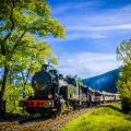 TRAIN À VAPEUR DES CÉVENNES
