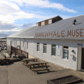 MUSEO DE LA BALLENA DE HÚSAVÍK