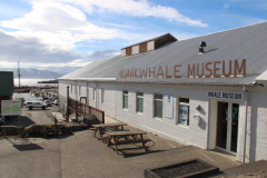 MUSÉE DE LA BALEINE (HÚSAVÍK WHALE MUSEUM)