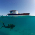 CABO VERDE DIVING