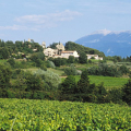 CAVE LA COMTADINE