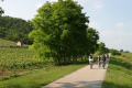 CYCLOTOURISME EN SAONE-ET-LOIRE