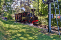 TOURIST TRAIN OF THE PARC DES COMBES