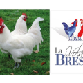 VOLAILLE DE BRESSE AOP