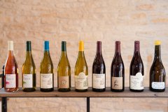 VIGNERONS DE LA COLLINE ÉTERNELLE