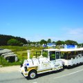 EL PEQUEÑO TREN TURÍSTICO