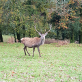 LE STEROU - PARC NATUREL