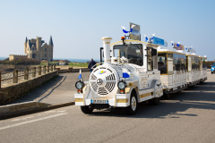 PETIT TRAIN TOURISTIQUE