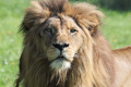 NATUR'ZOO DE MERVENT
