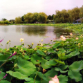 PARC FLORAL DE LA COURT D'ARON