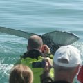 CATAMARAN CHARTERS