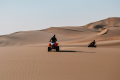 DESERT EXPLORERS