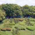 SANTUARIO DE MEIJI-JINGU