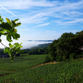 DOMAINE LES BÉLIERS