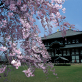 TŌDAI-JI