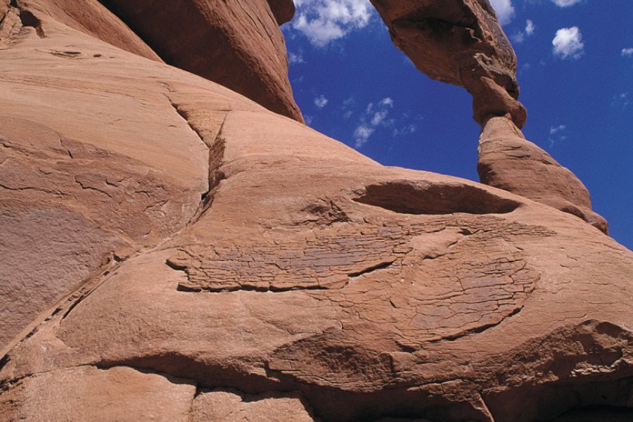 DELICATE ARCH