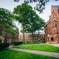 HARVARD UNIVERSITY