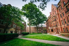 HARVARD UNIVERSITY