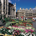 GRAND-PLACE