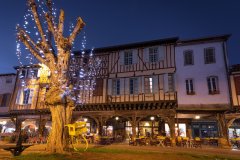 LA MAISON DES CONSULS