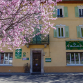 LES BARTAVELLES