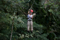 SELVA BANANITO EXPERIENCE