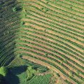 DOMAINE MATHA