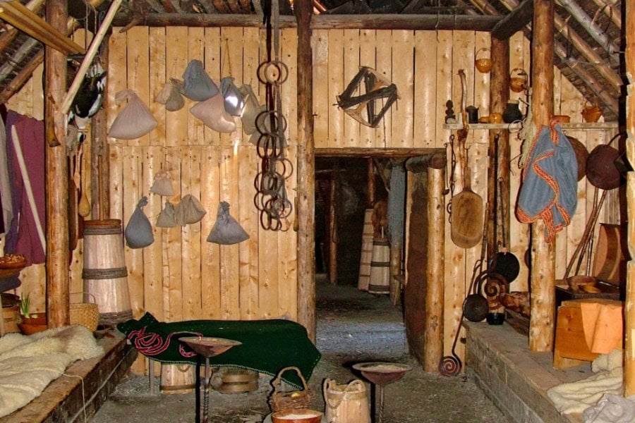 LIEU HISTORIQUE NATIONAL DE L'ANSE AUX MEADOWS