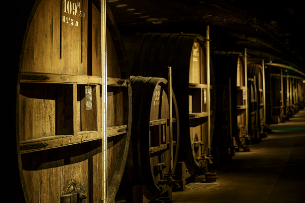 LES CAVES DE LA CHARTREUSE