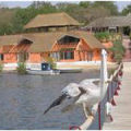 LODGE-HÔTEL KEUR SALOUM
