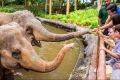 曼岱野生动物保护区 - 新加坡动物园