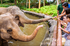 MANDAI WILDLIFE RESERVE - SINGAPORE ZOO