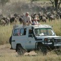 TANGANYIKA EXPEDITIONS