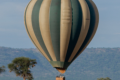 SERENGETI BALLOON SAFARIS