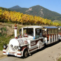 VISITE EN PETIT TRAIN