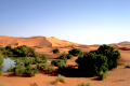 IDEAL TRAVEL MOROCCO