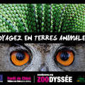 ZOODYSSEE