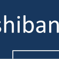 SHIBANI FINANCE