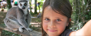LA VALLEE DES SINGES