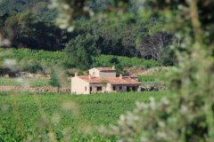 CHÂTEAU ROUBINE, CRU CLASSÉ